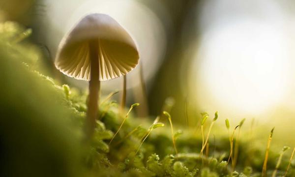 帕莱斯特拉：很高兴自己加盟了切尔西，球队好我融入很快